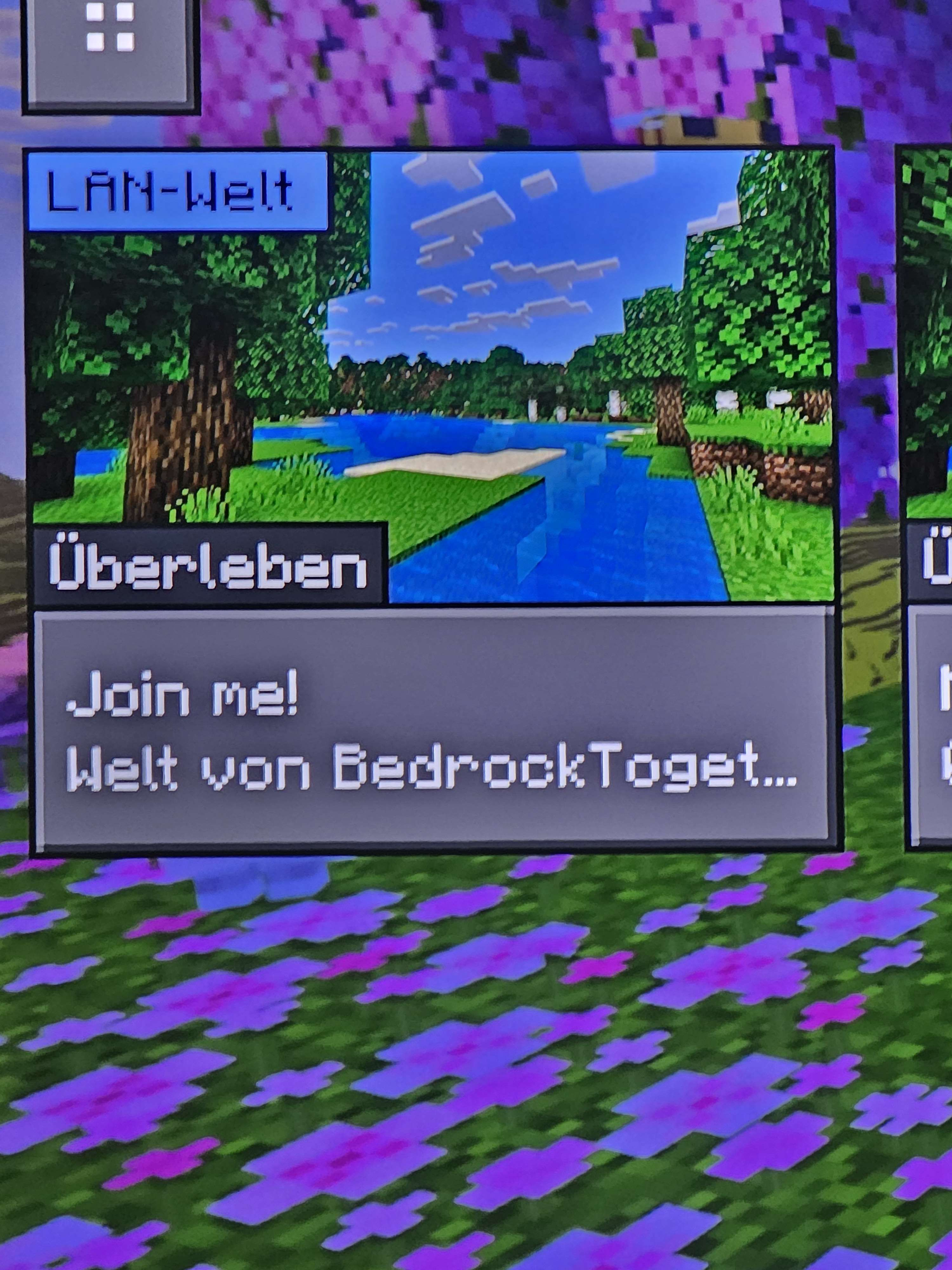Server als LAN-Welt im Tab Welten